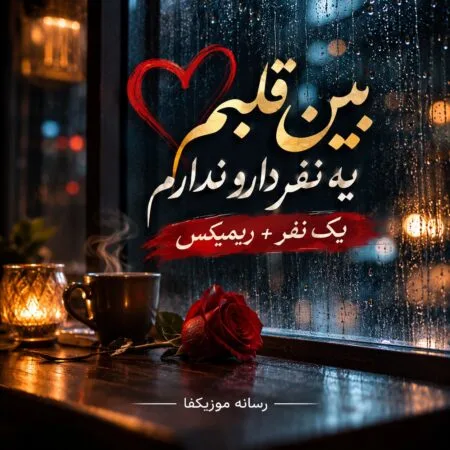 بین قلبم یه نفر دارو ندارم یک نفر